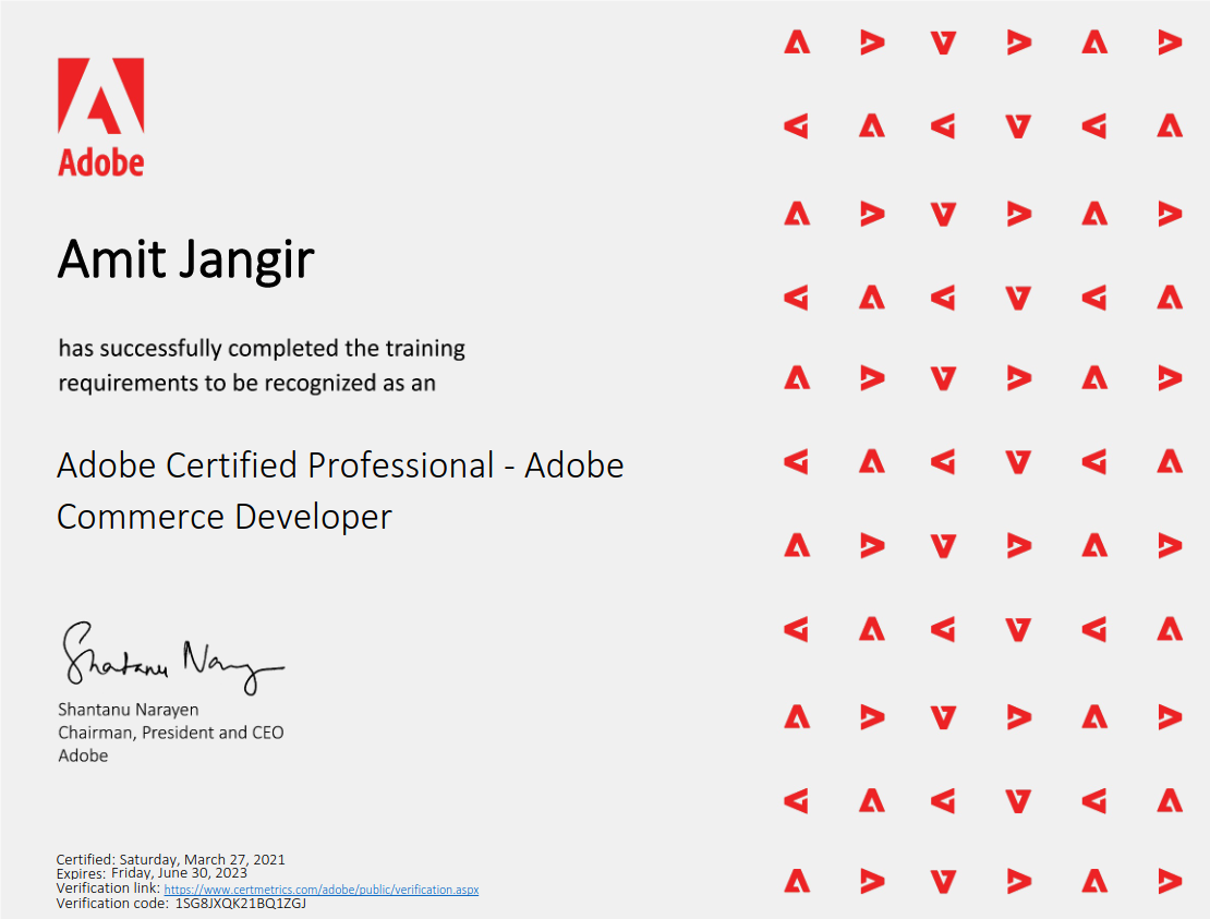 Adobe Commerce Professional Developer