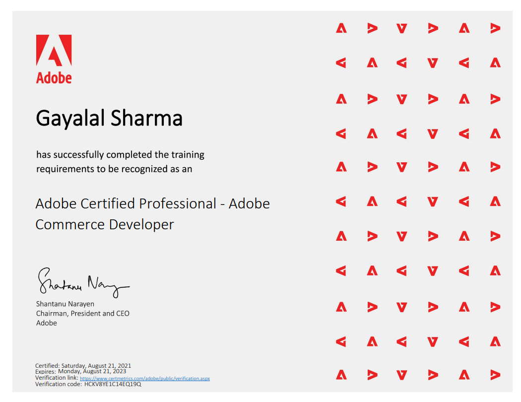 Adobe Commerce Professional Developer