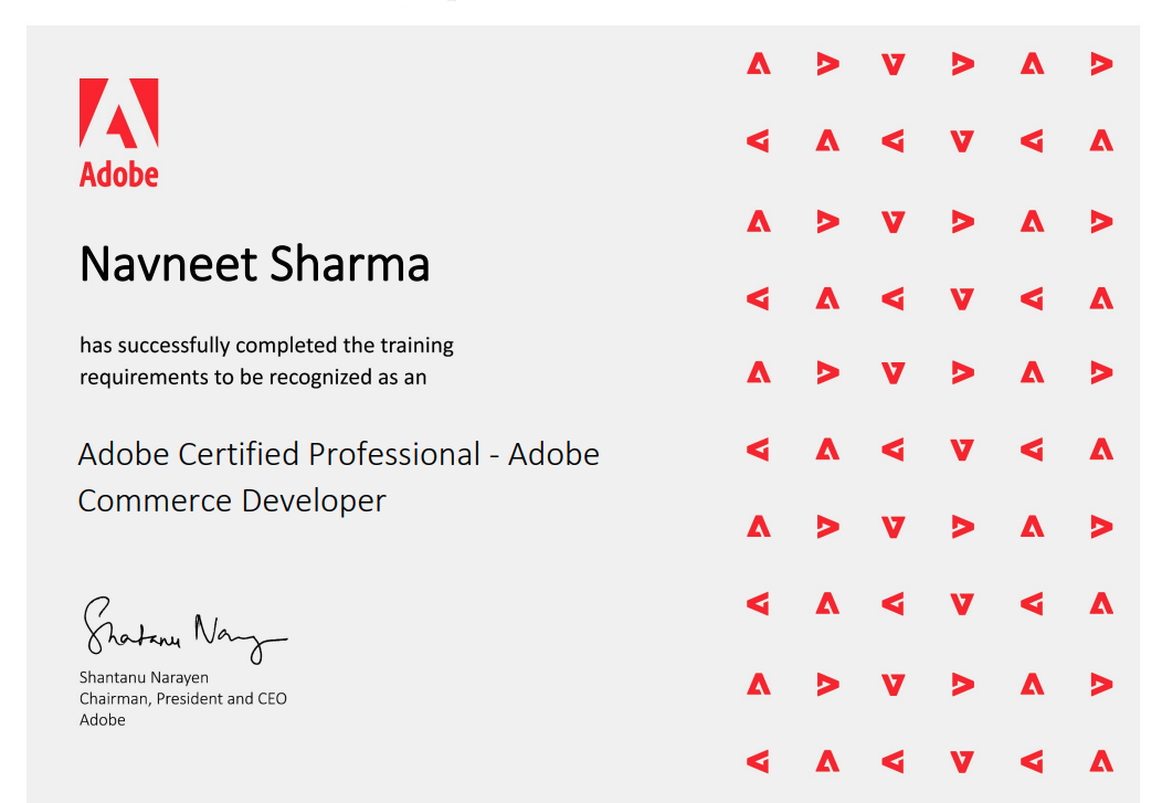 Adobe Commerce Professional Developer