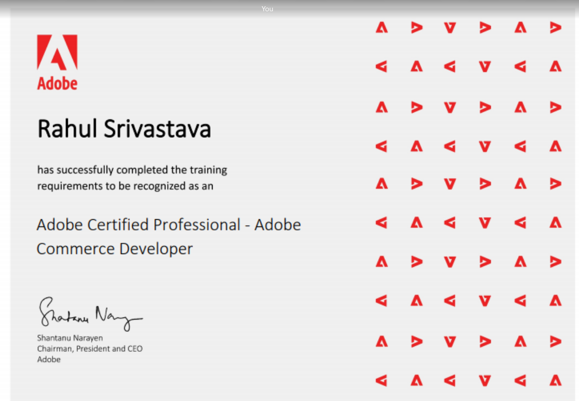 Adobe Commerce Professional Developer