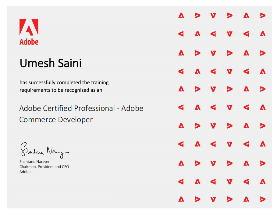 Adobe Commerce Professional Developer